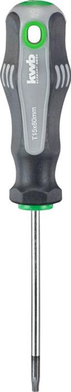 Schroevendraaier Torx T15 x 80